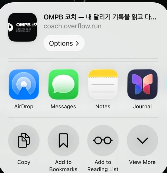 공유 시트 첫 화면 — 복사·북마크·읽기 목록까지만 보이고 맨 아래에 View More 가 있다